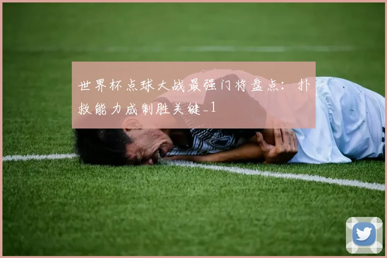 世界杯点球大战最强门将盘点:扑救能力成制胜关键_1