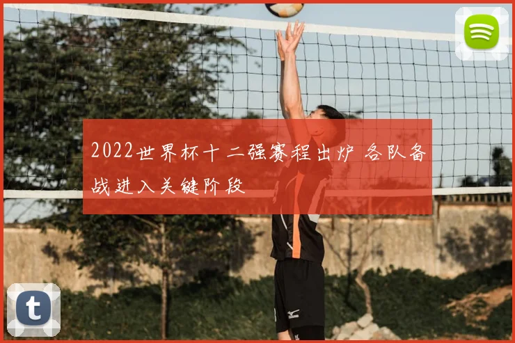 2022世界杯十二强赛程出炉 各队备战进入关键阶段
