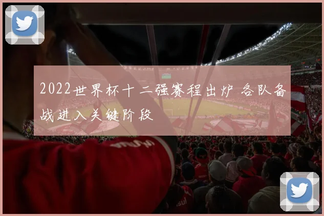 2022世界杯十二强赛程出炉 各队备战进入关键阶段