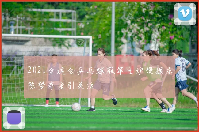 2021全运会乒乓球冠军出炉樊振东陈梦夺金引关注
