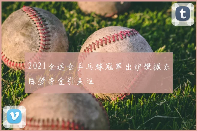2021全运会乒乓球冠军出炉樊振东陈梦夺金引关注